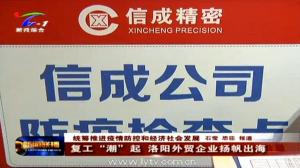 洛陽新聞聯播信成報道